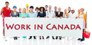 Read more about the article Top 20 High Paying Jobs In Canada
